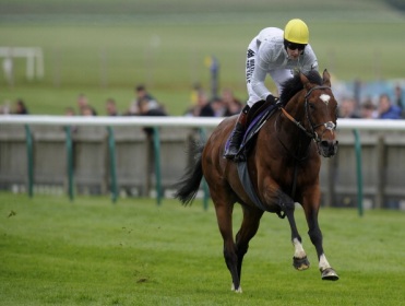 Horse Racing Betting & Odds | Bet on Racing with Grosvenor Sport Horse Racing Betting & Odds | Bet on Racing with Grosvenor Sport